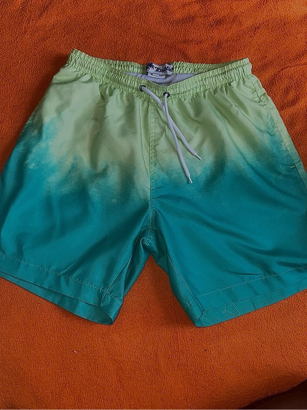 Fashion Nova Men's Green to Teal Ombre Swim Trunks